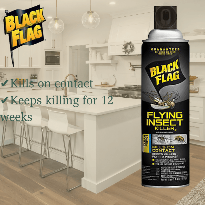 Black Flag, Black Flag Flying Insect Killer 18 oz.