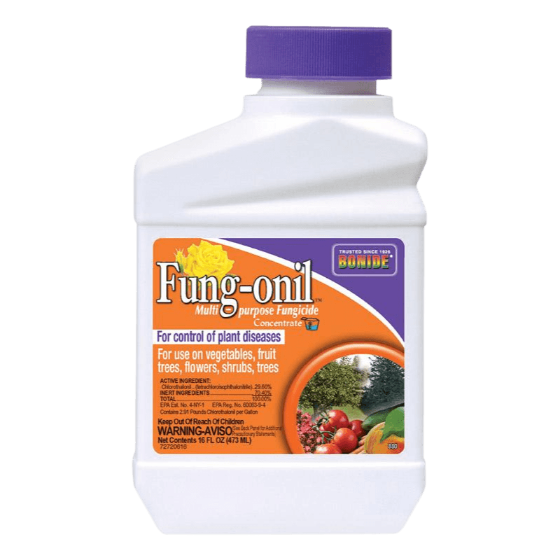 Bonide, Bonide Fung-onil Concentrated Liquid Disease Control 16 oz.