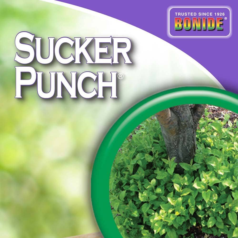 Bonide, Bonide Sucker Punch Sprout Control 32 oz.