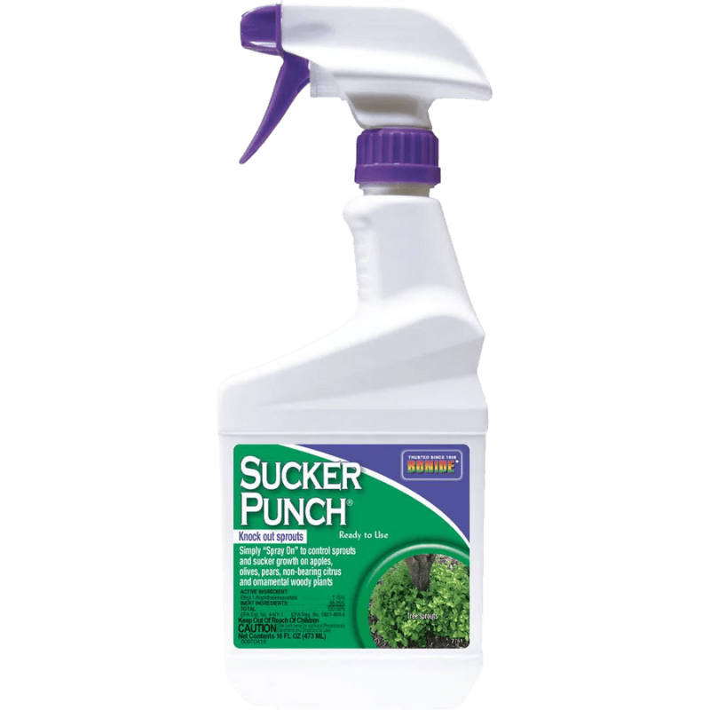 Bonide, Bonide Sucker Punch Sprout Control 32 oz.