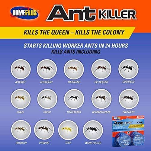 Homeplus, Homeplus Ant Killer Ant Bait 0.11 oz.