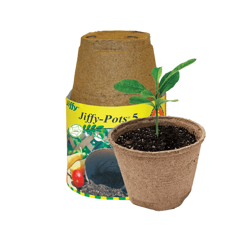 Jiffy, Jiffy Peat Pot 5" 6-Pack