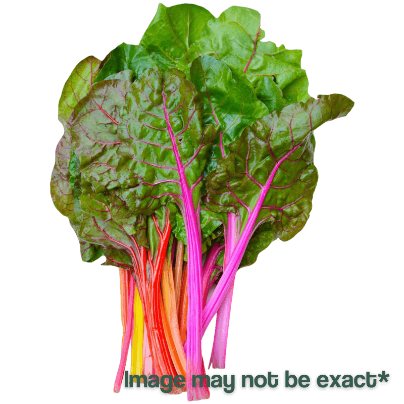 King Farm Inc., King Farm Bright Lights Swiss Chard Starter 6-Pack.