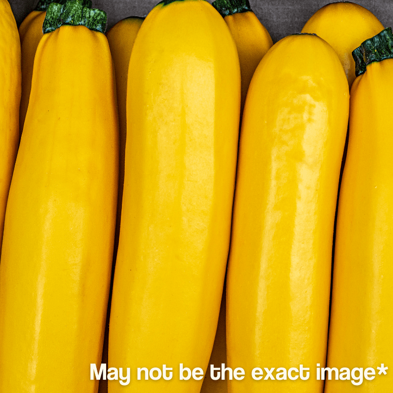 King Farm Inc., King Farm Straight Neck Yellow Squash Starter 4-Pack.