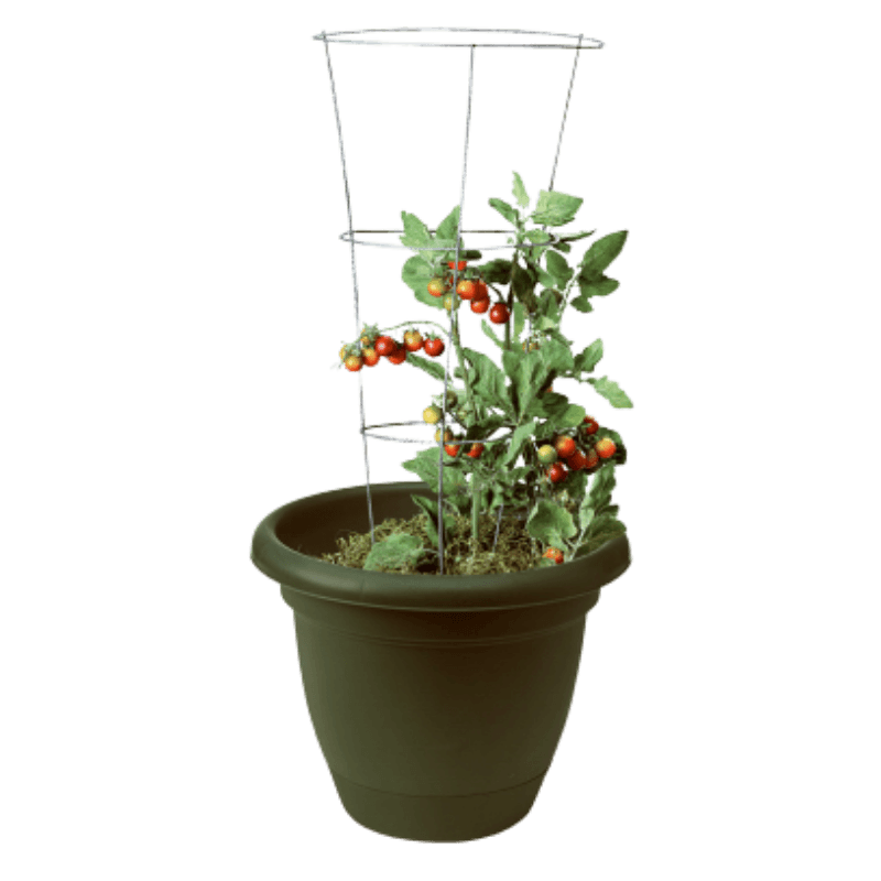 Panacea, Panacea Steel Tomato Cage 33 in. H x 12 W