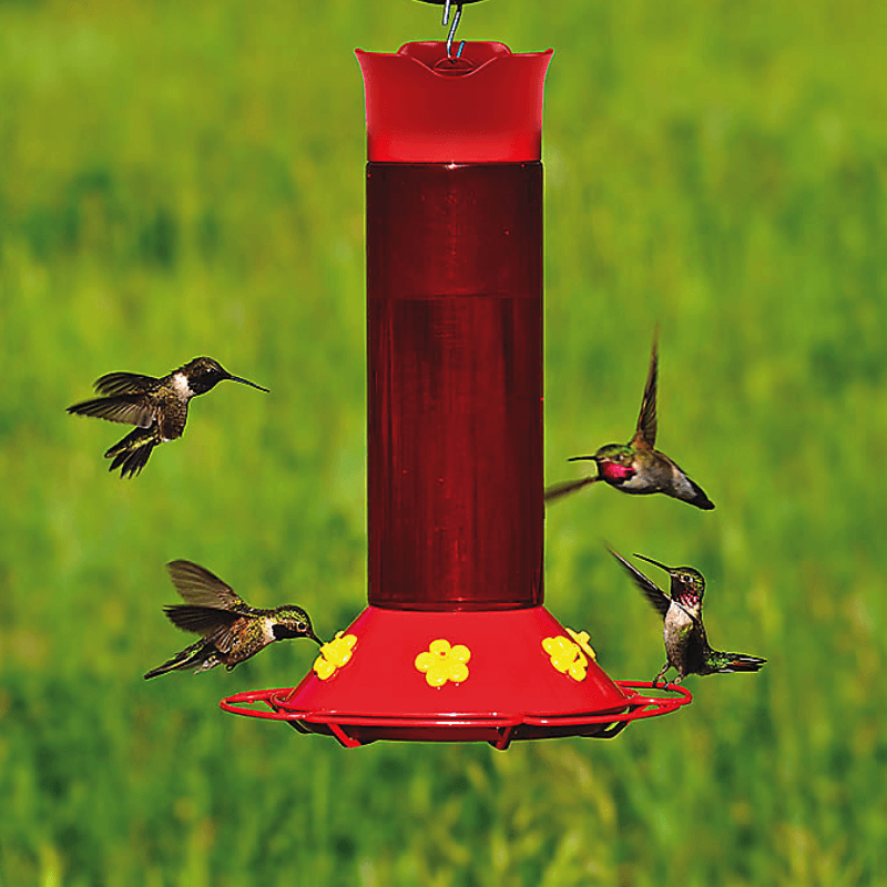 Perky-Pet®, Perky-Pet Hummer’s Favorite Plastic Hummingbird Feeder 30 oz.