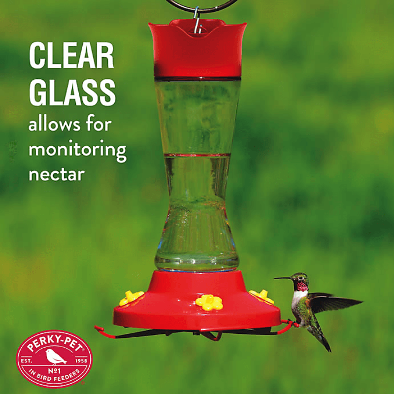 Perky-Pet®, Perky-Pet Pinch Waist Glass Hummingbird Feeder 16 oz.