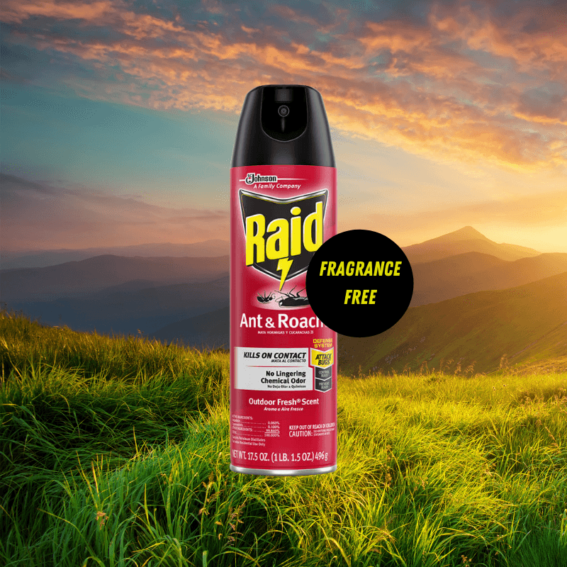 RAID®, RAID Ant & Roach Killer Spray 17.5 oz.