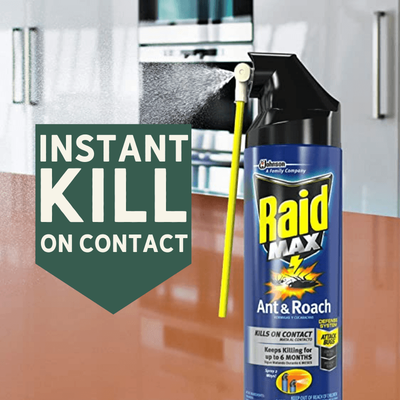 RAID®, RaidMAX Roach Killer Spray 14.5 oz.