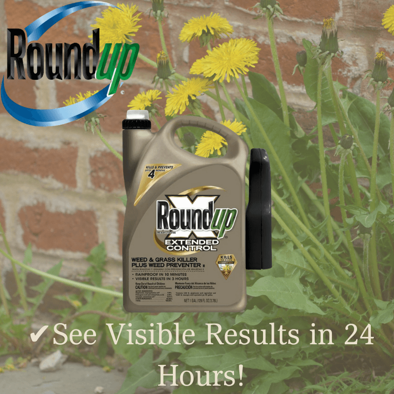 Roundup, Roundup Extended Control Weed & Grass Killer Gallon