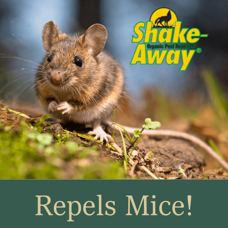 Shake-Away, Shake-Away Rodent Repellent Granules 28.5 oz.